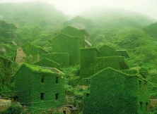 Nature's Reclamation: The Enchanting Transformation Of Houtou Wan Village