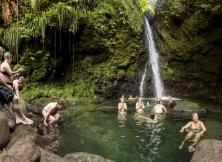 Uncover The Magic: Top Reasons To Spend Your Holiday In Dominica!