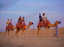 Dubai: A Desert Oasis Of Adventure And Luxury – Your Ultimate Travel Guide