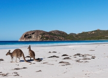 Australia Unveiled: A Journey Through Nature, Culture, And Unique Wildlife