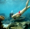 Exploring The Wonders Of Ningaloo Marine Park: A Guide To Ningaloo Reef